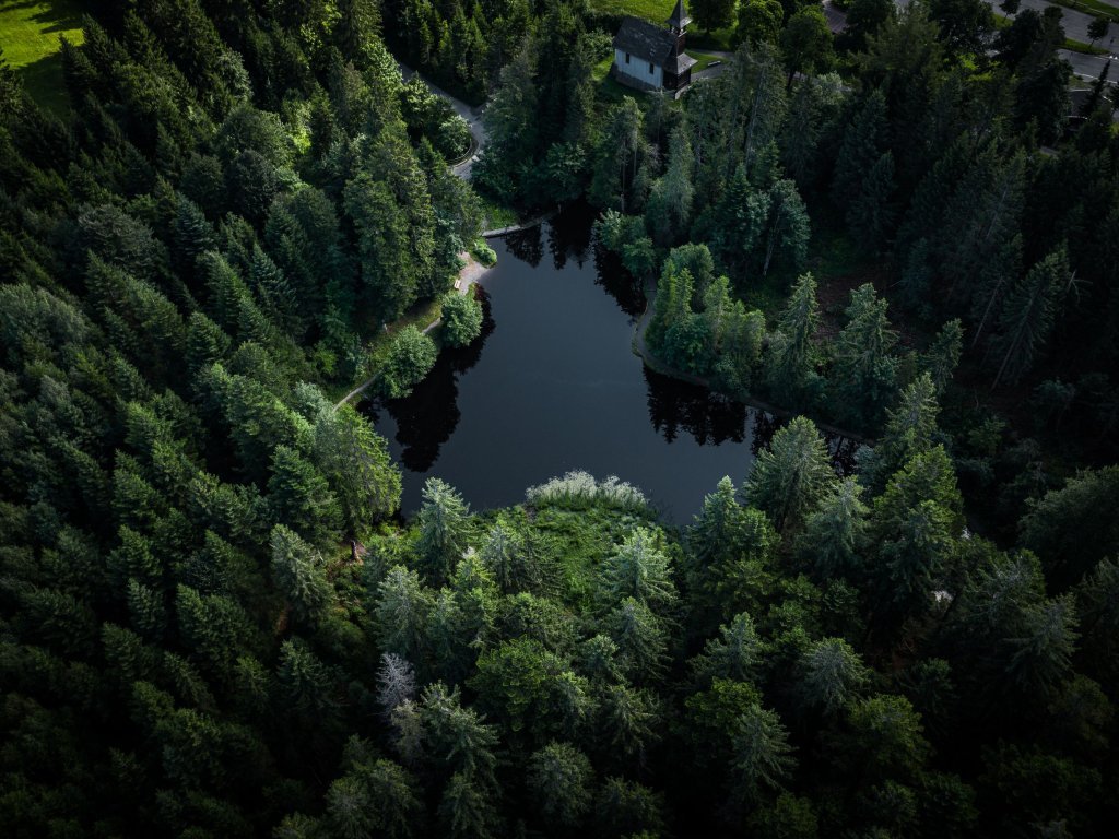 Bödele im Sommer erleben